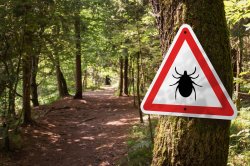 Sign warning of ticks in a forest setting